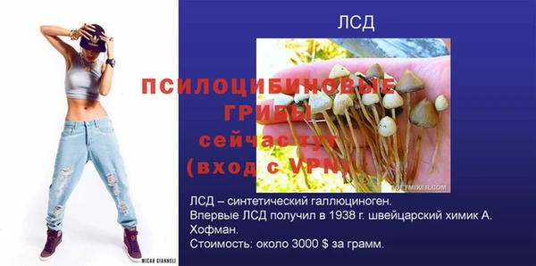 молекула духа Алексеевка
